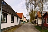 Neues Bild (79)