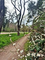 (c) Susann Arndt