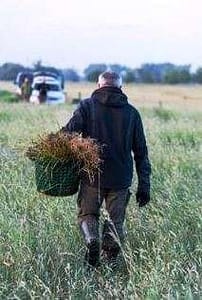 Uwe Hallmann beim Transport eines jungen Tieres an den Feldrand  - (c) Stephan Schulz