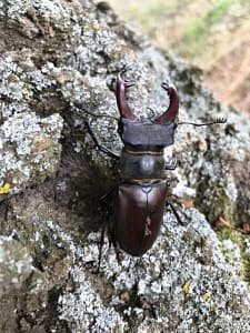 Heuernte (c) Uwe Truckenmüller