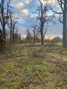 Pflege der Streuobstwiese (c) Uwe Truckenmüller