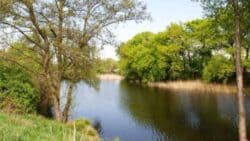 Alte Elbe südlich von Calenberge (Foto S.U.)