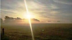 Frühdunst über der Wiese - (c) Stephan Schulz