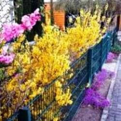 WhatsApp Image 2025-04-11 at 13.03.05(2)