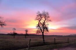 Benjamin Czogalla: „Der Hahn krät“