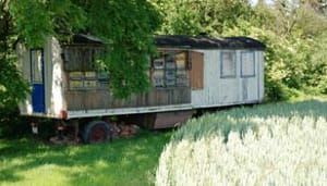Bienenwagen