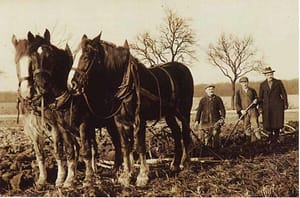 Auf der Calenberger Flur (Bild W.K.)