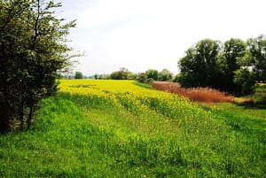 nördlicher Ausläufer des Calenberger Sees