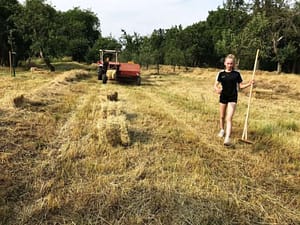 Heuernte (c) Uwe Truckenmüller