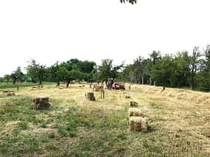 Heuernte (c) Uwe Truckenmüller