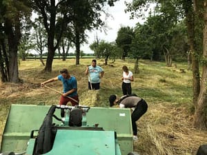 Heuernte (c) Uwe Truckenmüller