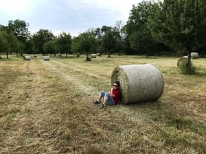 Heuernte (c) Uwe Truckenmüller