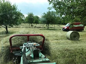 Heuernte (c) Uwe Truckenmüller