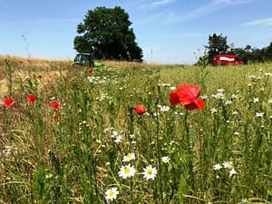 Heuernte (c) Uwe Truckenmüller