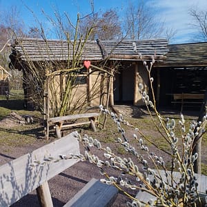 Sogar ein paar Besucher ließen sich schon auf den Bänken nieder.