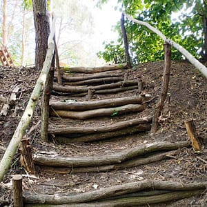 Und die Treppe in den Wald  nimmt ebenfalls Gestalt an