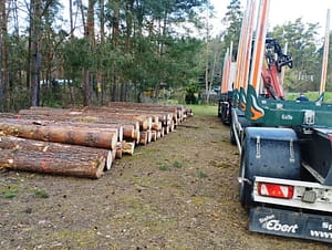 Und heute Abend haben wir auch endlich neues Holz als Baumaterial bekommen