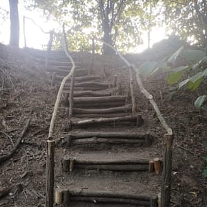 Auch die Treppe in den Wald ist nun fertig und begehbar