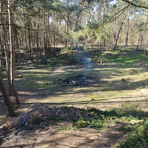 Der rückwärtige Wald wurde vom Unterholz befreit - Bahn frei für den Bogensport ...