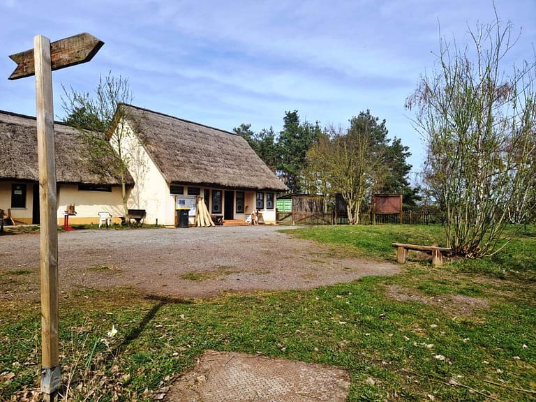 Auch hier: kein Dickicht mehr