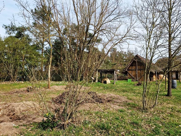 Das zukünftige "Klassenzimmer unter freiem Himmel" (c) Susann Arndt