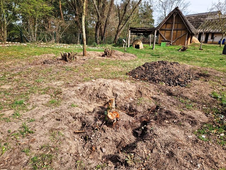 Das Brombeerdickicht ist weg (c) Susann Arndt