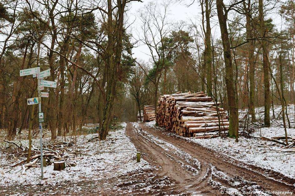 Stapel 2, 3 und 4
(c) Martin Bodewald