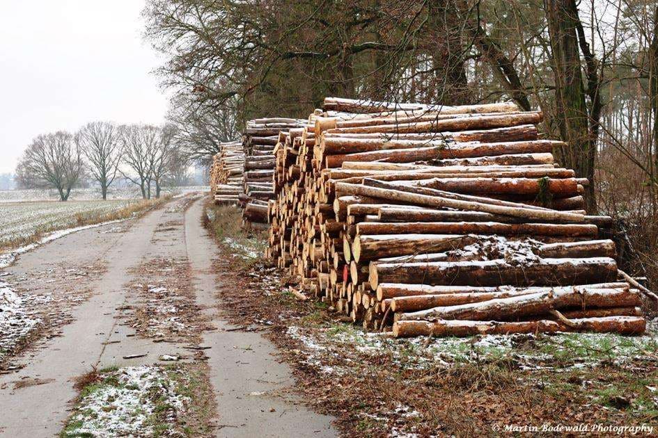 Stapel 5, 6 und 7
(c) Martin Bodewald