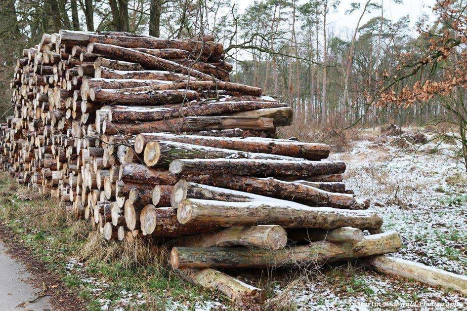 Stapel 6 ruht sich schon länger aus...
(c) Martin Bodewald