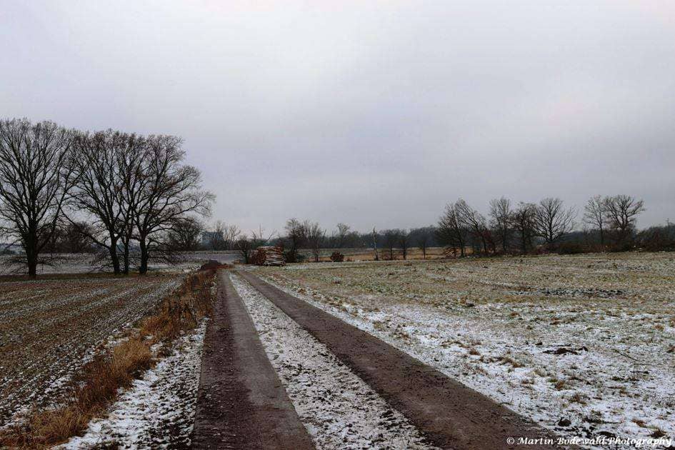Stapel 8 wartet am Entwässerungsgraben
(c) Martin Bodewald