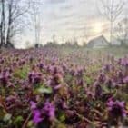 WhatsApp Image 2025-04-09 at 19.17.32