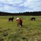 WhatsApp Image 2025-04-10 at 20.20.17(1)