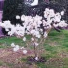 WhatsApp Image 2025-04-11 at 13.03.06