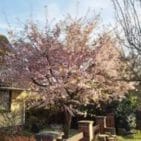 WhatsApp Image 2025-04-11 at 13.03.08(2)