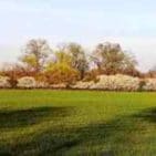 WhatsApp Image 2025-04-12 at 19.35.30