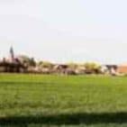 WhatsApp Image 2025-04-12 at 19.35.31