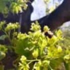 WhatsApp Image 2025-04-14 at 13.45.27