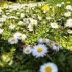 WhatsApp Image 2025-04-15 at 11.32.01