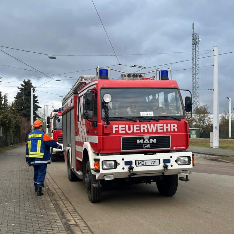 (c) Emilia Karolin Müller