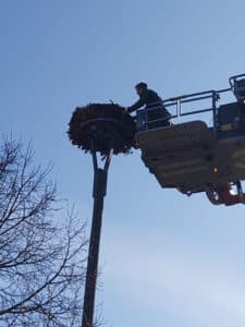 WhatsApp Image 2026-04-03 at 11.30.22(5)