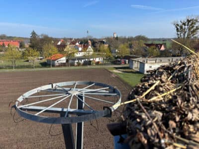 WhatsApp Image 2026-04-03 at 11.30.27(4)