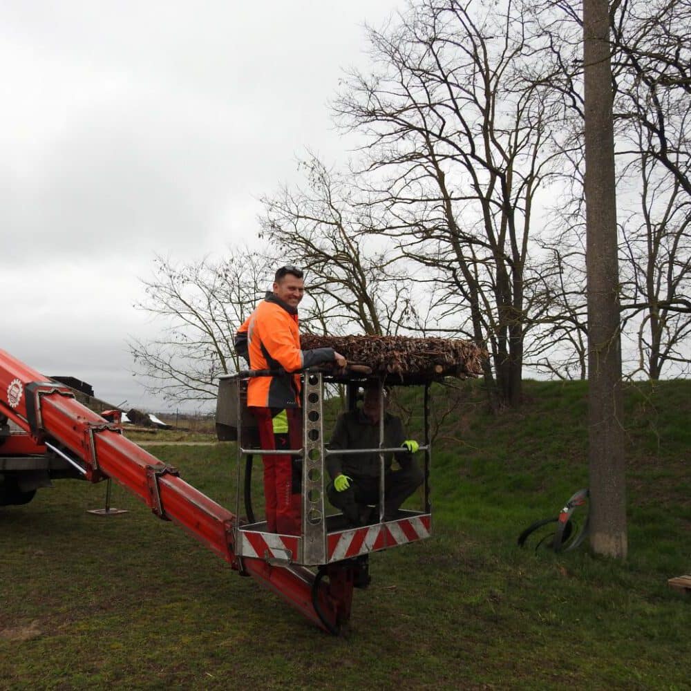 ... auf dem Steigerkorb gewuchtet wird.gt.