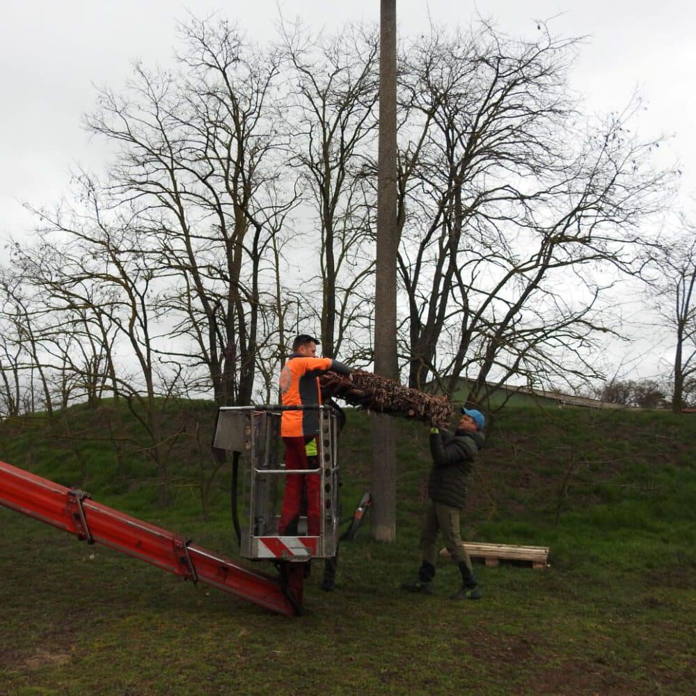 ... bevor der Horst ...