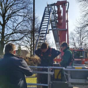 WhatsApp Image 2026-04-03 at 11.30.20(2)