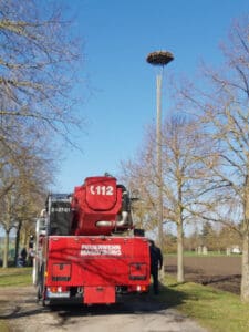 WhatsApp Image 2026-04-03 at 11.30.23(1)