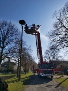 WhatsApp Image 2026-04-03 at 11.30.22(3)