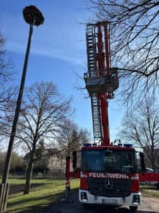 WhatsApp Image 2026-04-03 at 11.30.17(2)