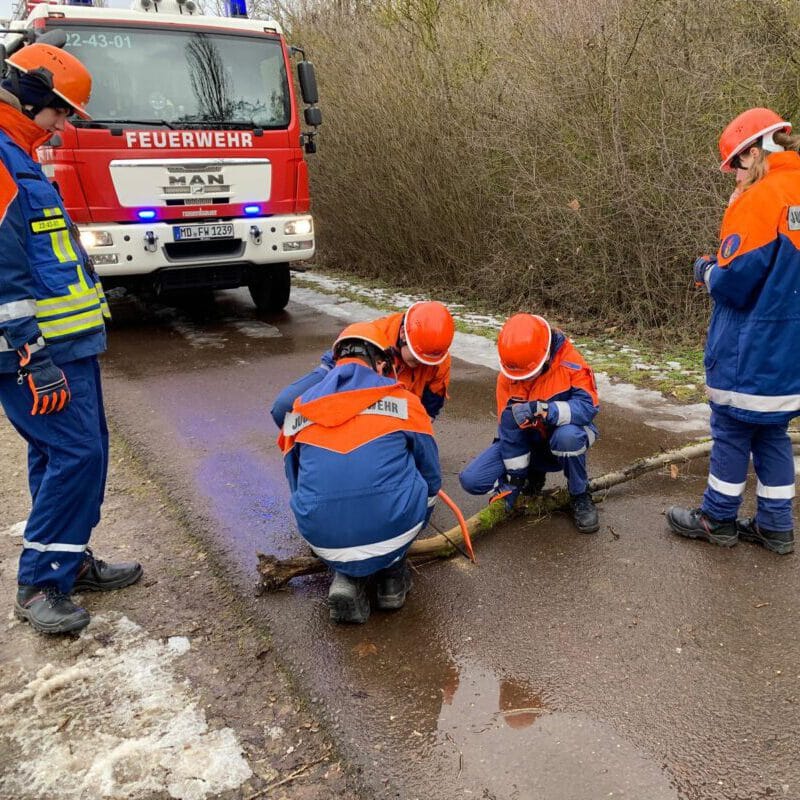 (c) Emilia Karolin Müller