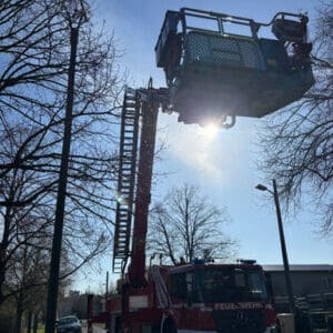 WhatsApp Image 2026-04-03 at 11.30.15(2)