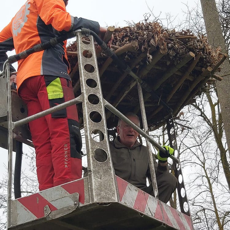 Nein, das ist nicht die Krone des Storchenkönigs!
